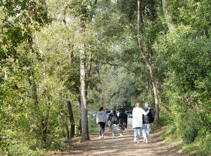 Walkers hiking in the woods